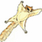 Bradley Wright - Flickr Profile Picture of Bradley Wright (@bright000006) on Flickr