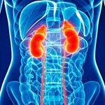 Profile Picture of Aaron fortner (@kidney_failure_project) on Instagram