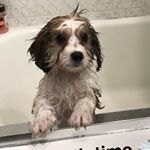 Jeffrey Theodore Collins - Instagram Profile Picture of Jeffrey Theodore Collins (@jt_splootstagram) on Instagram