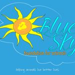 Profile Picture of Pam Simons (@bluesky_foundationforanimals) on Instagram