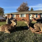 Profile Picture of Blake Hauke (@blake.hauke.2025) on Facebook