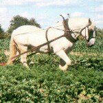 Joel Baxter - Instagram Profile Picture of Joel Baxter (@baxtula) on Instagram