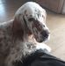 Profile Picture of Christopher Worm (@christopher.worm.52) on Facebook