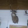 Profile Picture of Jason Rollins (@rollinsjason152) on Pinterest