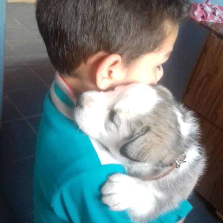 Profile Picture of Aarón 🥰 (@aarongovea_7) on Tiktok