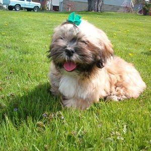 Profile Picture of Cheryl Adams (@197324250) on Myspace