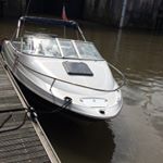 Profile Picture of Peter wren (@peter_wren) on Instagram