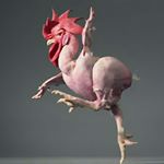 Profile Picture of Joseph lupton (@starryemperir12) on Instagram