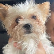 Profile Picture of Chris Gutierrez (@ChrisGutierrez-ru5ei) on Youtube