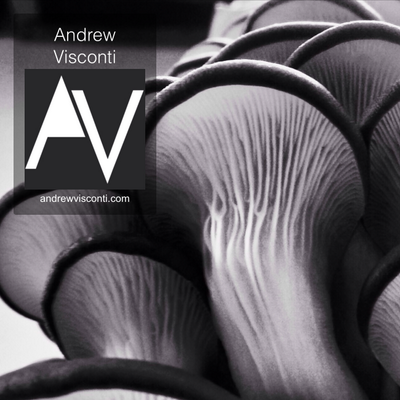 Profile Picture of Andrew Visconti (@AndrewVisconti1) on Twitter