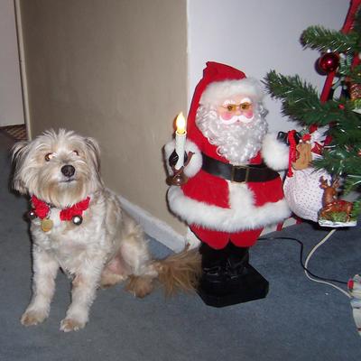 Profile Picture of Terence Lucas (@Lucas042Lucas) on Twitter