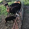 Profile Picture of Trevor Beaber (@trevorbeaber27) on Tiktok