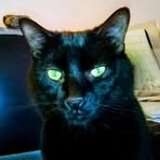 Profile Picture of Jodi Sistek (@jodi.sistek.5) on Facebook