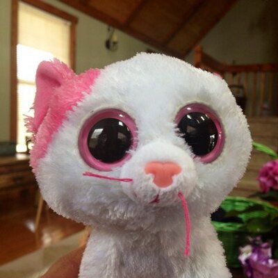 Profile Picture of Craig M. Earnest (@fatherinlove) on Twitter