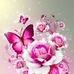 Profile Picture of Rashmi Venkatesh (@rashmi.venkatesh.16) on Facebook