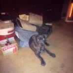 Profile Picture of Buddy Lucas (@Buddy-Lucas) on Facebook