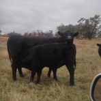 Profile Picture of Joe McNaney (@cmcnaney1) on Facebook