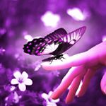 Profile Picture of theresa_mcdonald77 (@theresa_mcdonald77) on Instagram