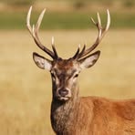 Profile Picture of Jack Evens (@Jack-Evens) on Facebook