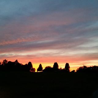 Profile Picture of Frances Shillingburg (@frances.shillingburg) on Facebook