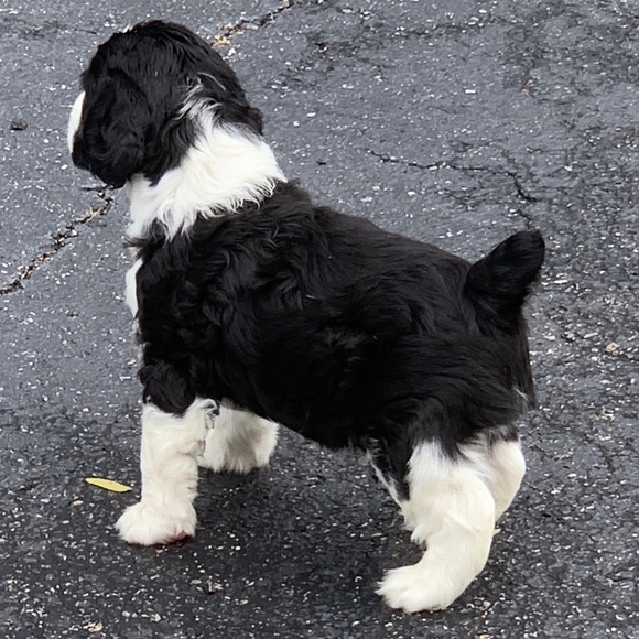 Profile Picture of Mike Bockhorn (@bockm) on Poshmark