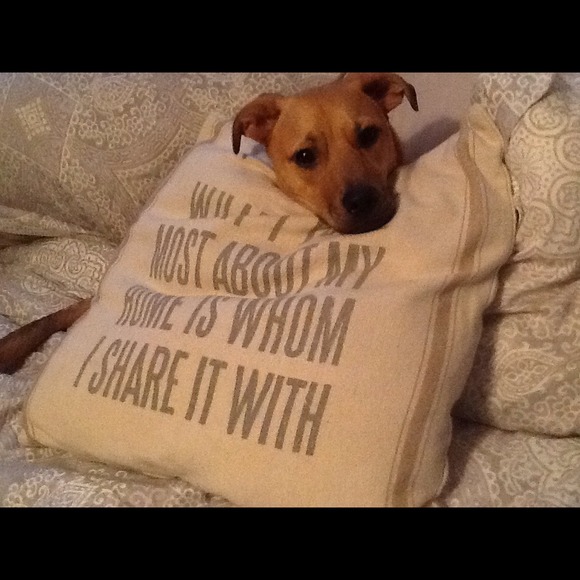 Jocelyn Schneider - Poshmark Profile Picture of Jocelyn Schneider (@jkudler) on Poshmark