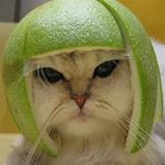 Profile Picture of Alexander Johansson (@krukan21) on Instagram