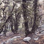 Profile Picture of Kevin Strom (@one8mfg) on Instagram