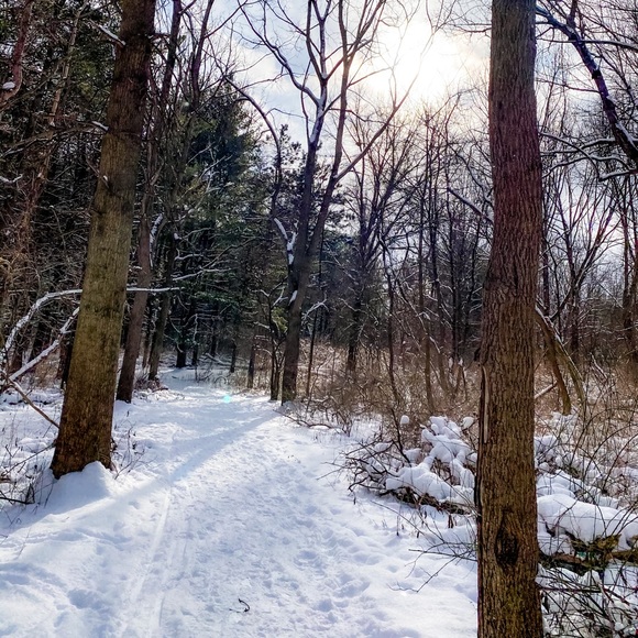 Profile Picture of Megan Fowler (@mmf05203) on Poshmark