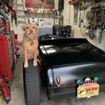 Profile Picture of Shawn Roden (@acmeshawn) on Instagram