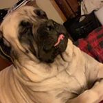 Profile Picture of John Carlstrom (@carlstrom57) on Instagram