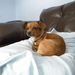 Profile Picture of Jeannette Waugh (@jw38) on Pinterest