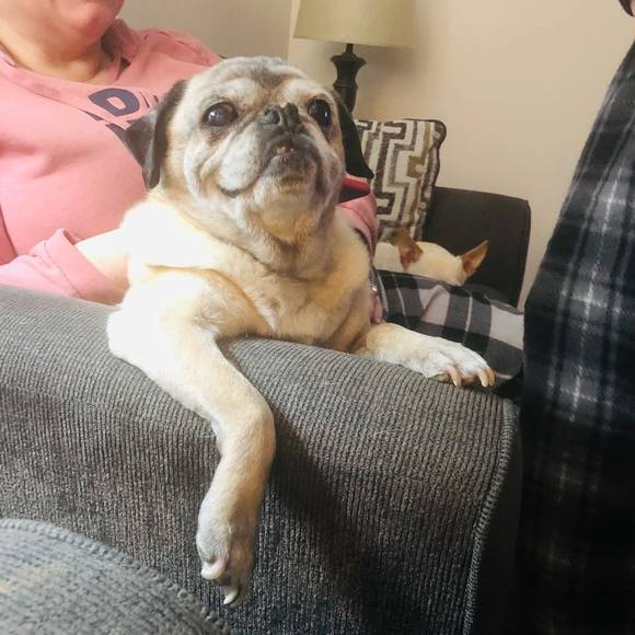 Profile Picture of John Frost (@frosted1) on Poshmark