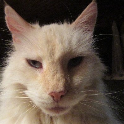 Profile Picture of Barbara Benoit (@BarbaraBenoit16) on Twitter