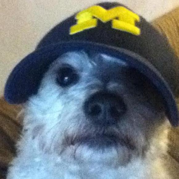 Profile Picture of Jennifer Moruzzi (@jennifermoruzzi) on Poshmark