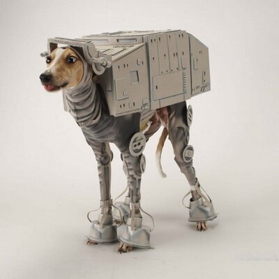 Profile Picture of Richard Zielinski (@greyhoundbella) on Twitter