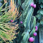 Profile Picture of Steve Siegrist (@stevesiegrist) on Instagram