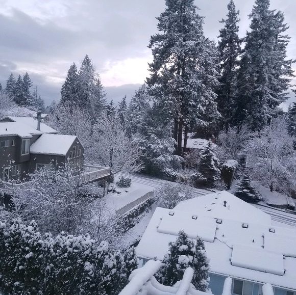 Profile Picture of Mirela Orlowski (@mirelaorlowski) on Poshmark