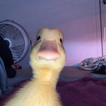 Profile Picture of Justin Robichaud (@justin_27777) on Instagram