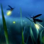 Profile Picture of Regina Ackley (@reginaackley) on Instagram