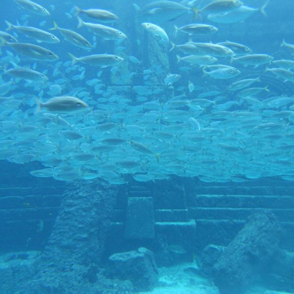 Profile Picture of Rita Kim (@ritakim) on Poshmark