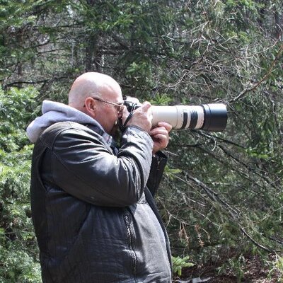 Profile Picture of Terry Phillips (@TcPhillips123) on Twitter