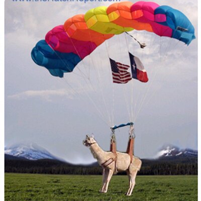 Profile Picture of Troy Shirley (@THshirley98) on Twitter