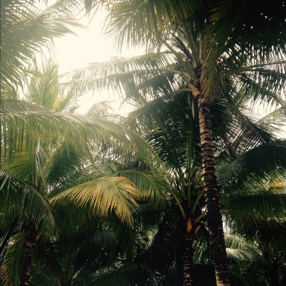 Profile Picture of Megan Madewell (@meganmade) on Poshmark