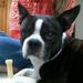 Profile Picture of Danielle Craft (@dcraf) on Pinterest