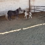 Profile Picture of Jairo Chavez (@Jairo-Chavez) on Facebook