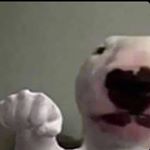 Profile Picture of Jason Dooley (@jason_doolay) on Instagram