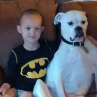 Profile Picture of Paula Koestner (@p_koestner) on Pinterest