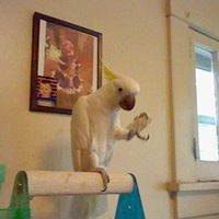 Profile Picture of Nathan Hawthorne (@nathan-hawthorne) on Quora