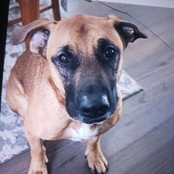 Profile Picture of lisaweese (@lisaweese3) on Tiktok